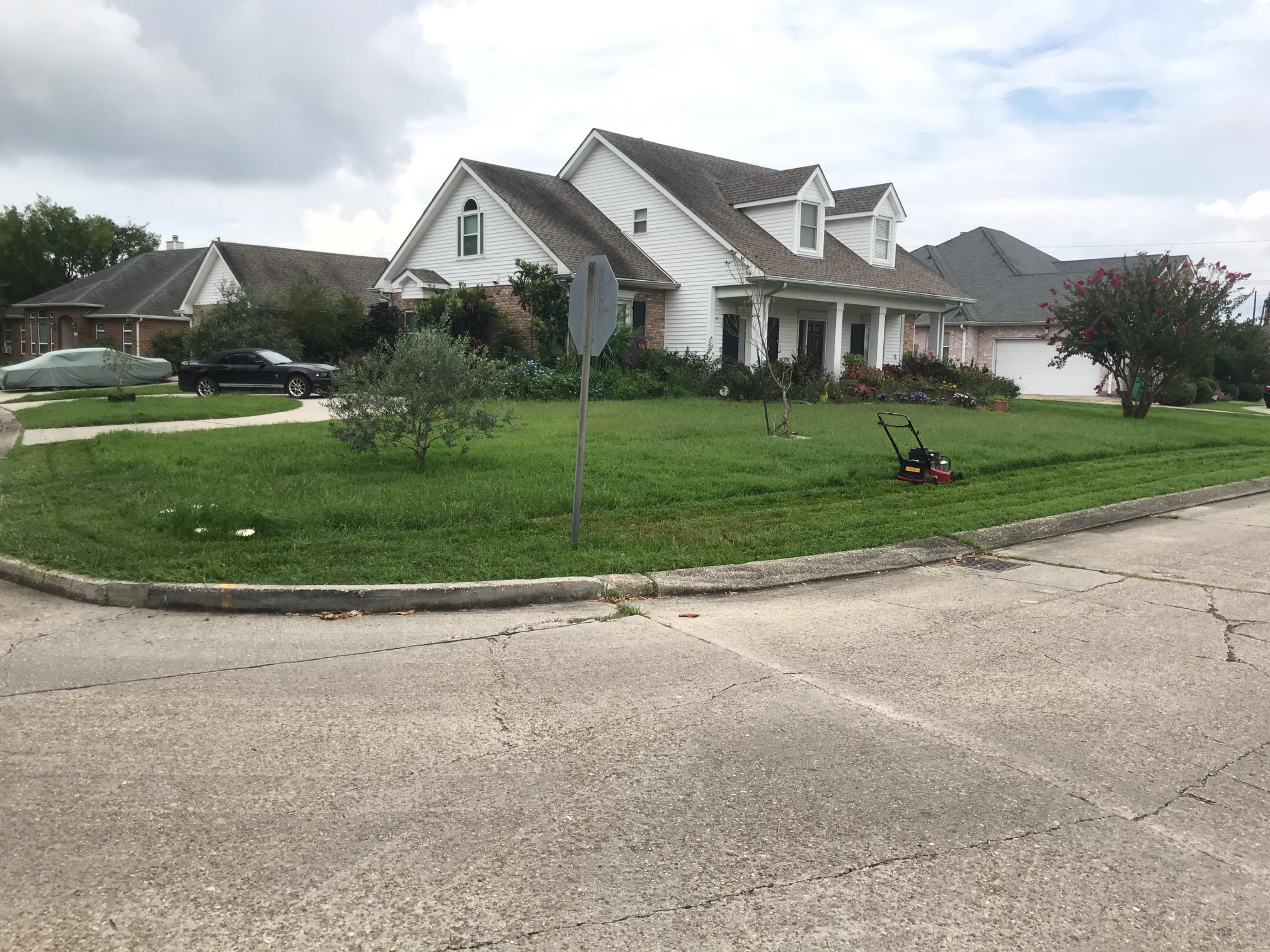 Image of lawn 1