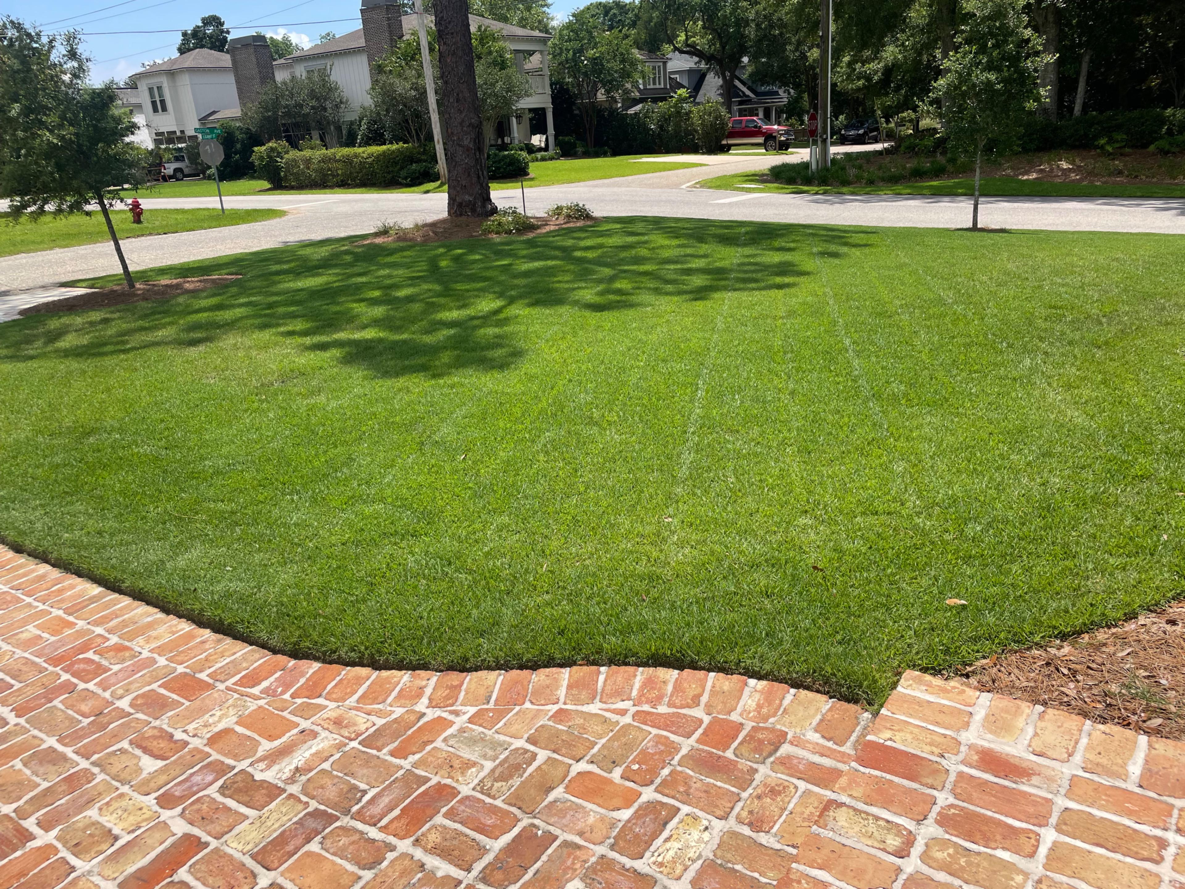 Fine Detail Lawncare Landing Image