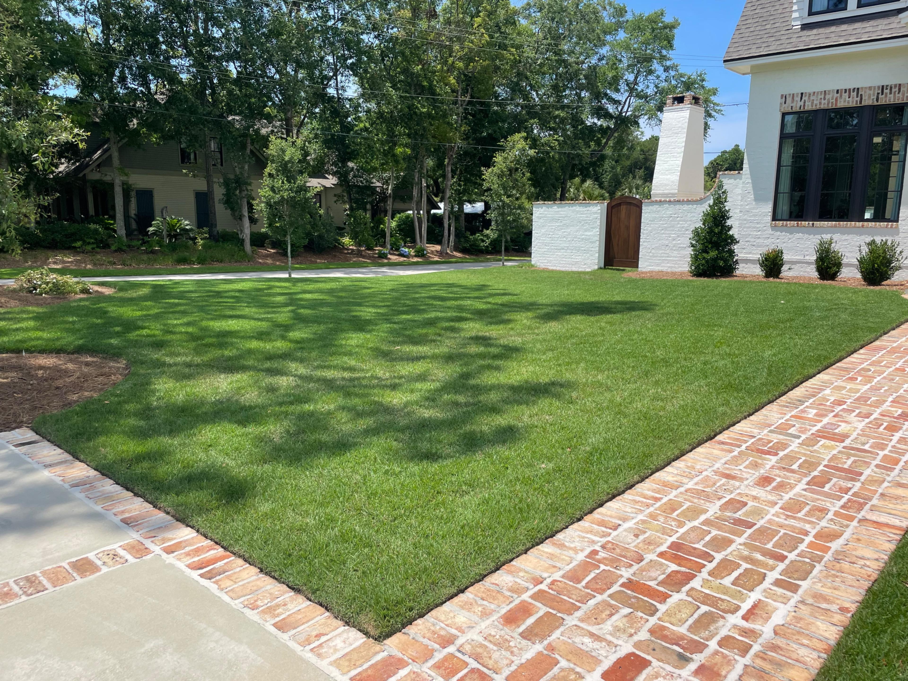 Image of lawn 11