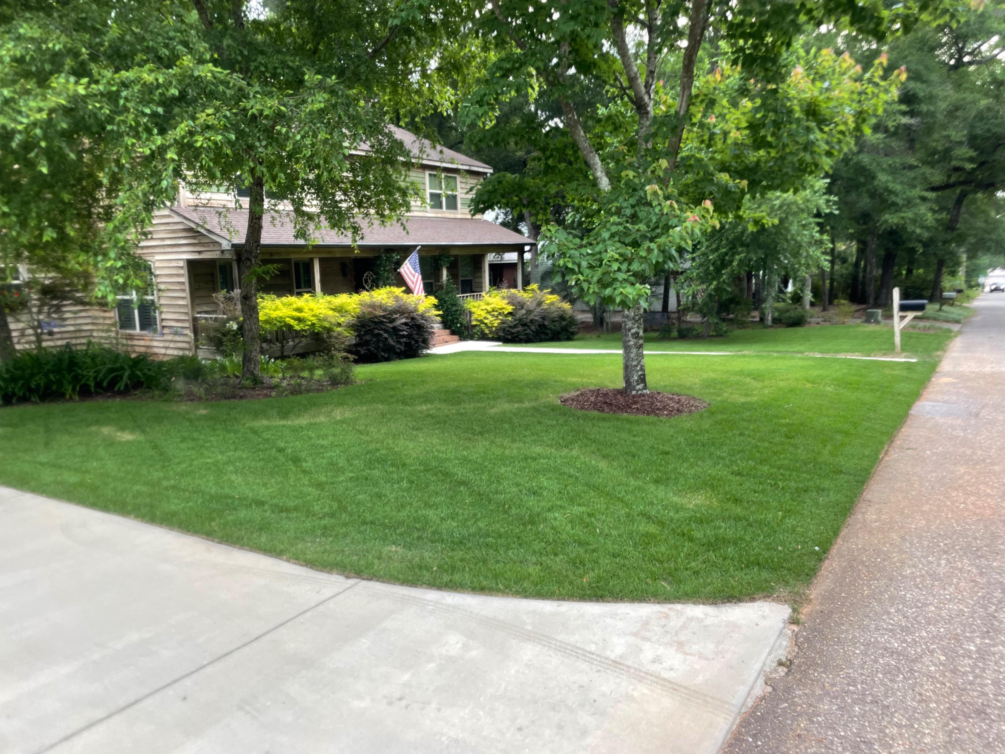 Image of lawn 13