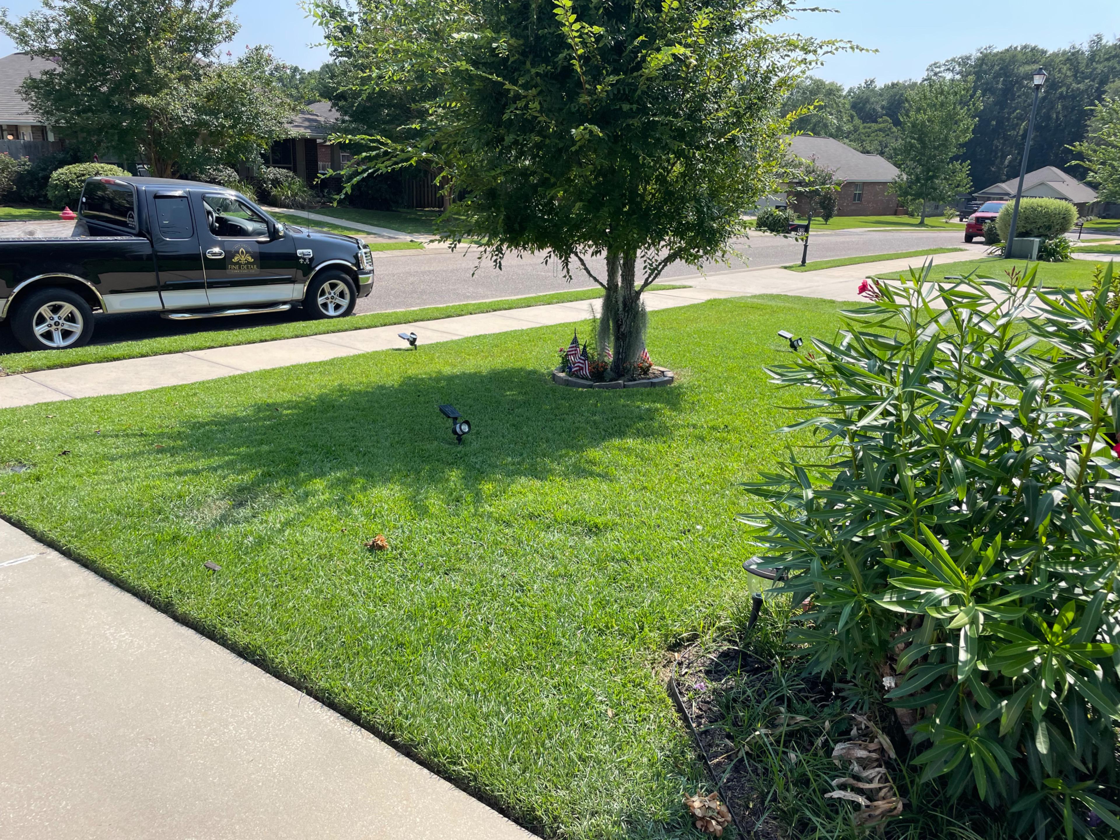 Image of lawn 3