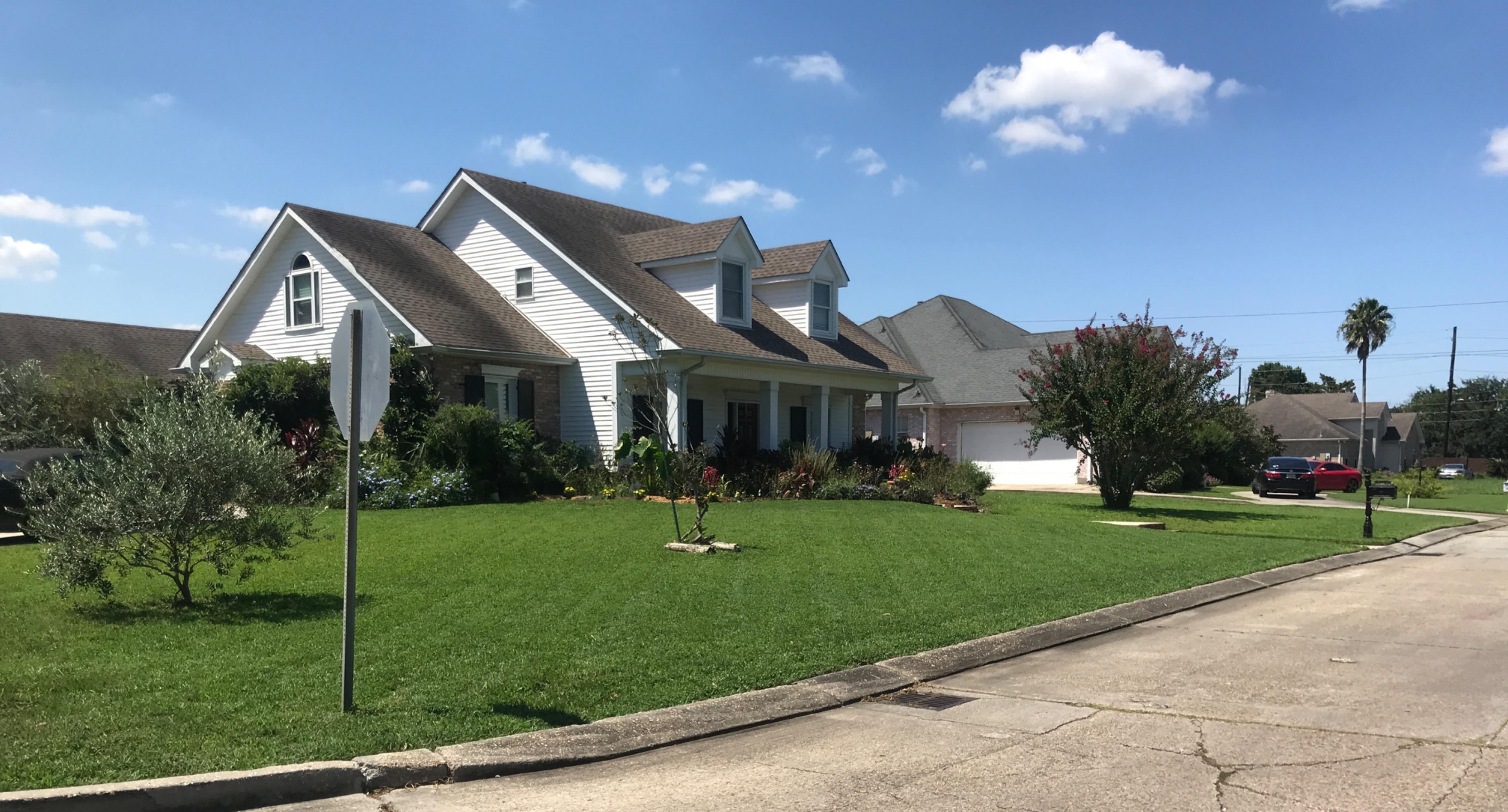 Image of lawn 2