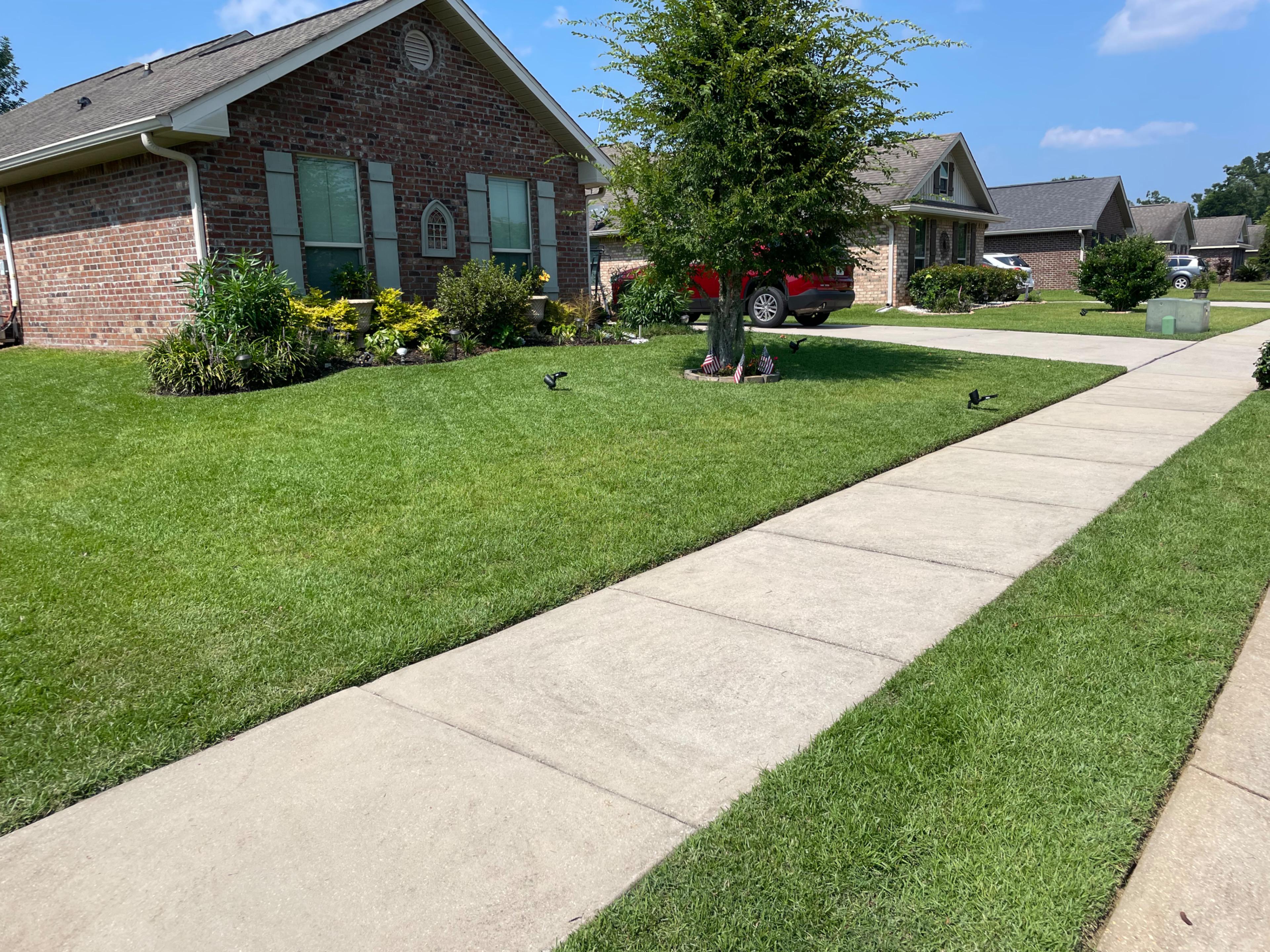 Image of lawn 4