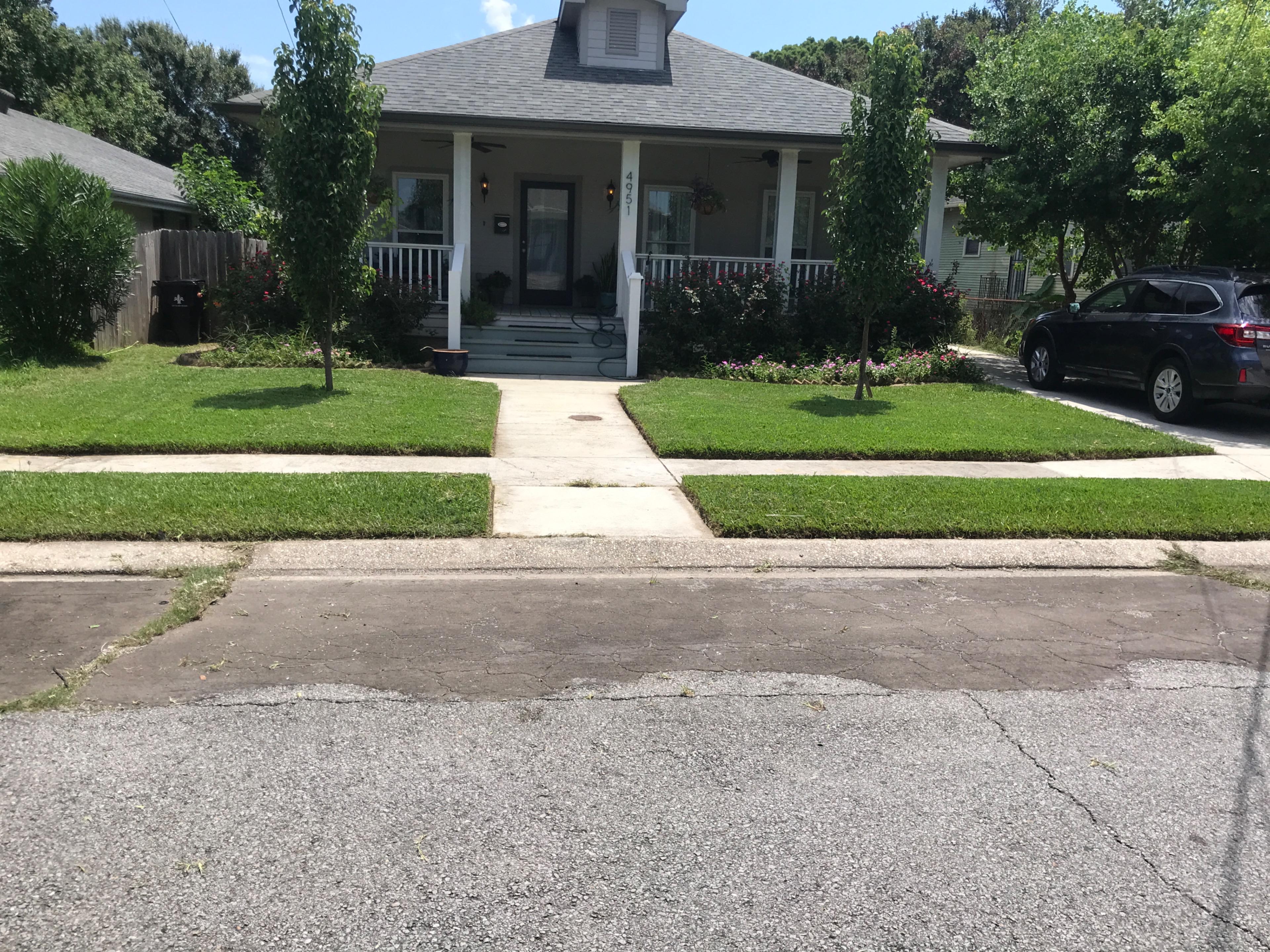 Image of lawn 6