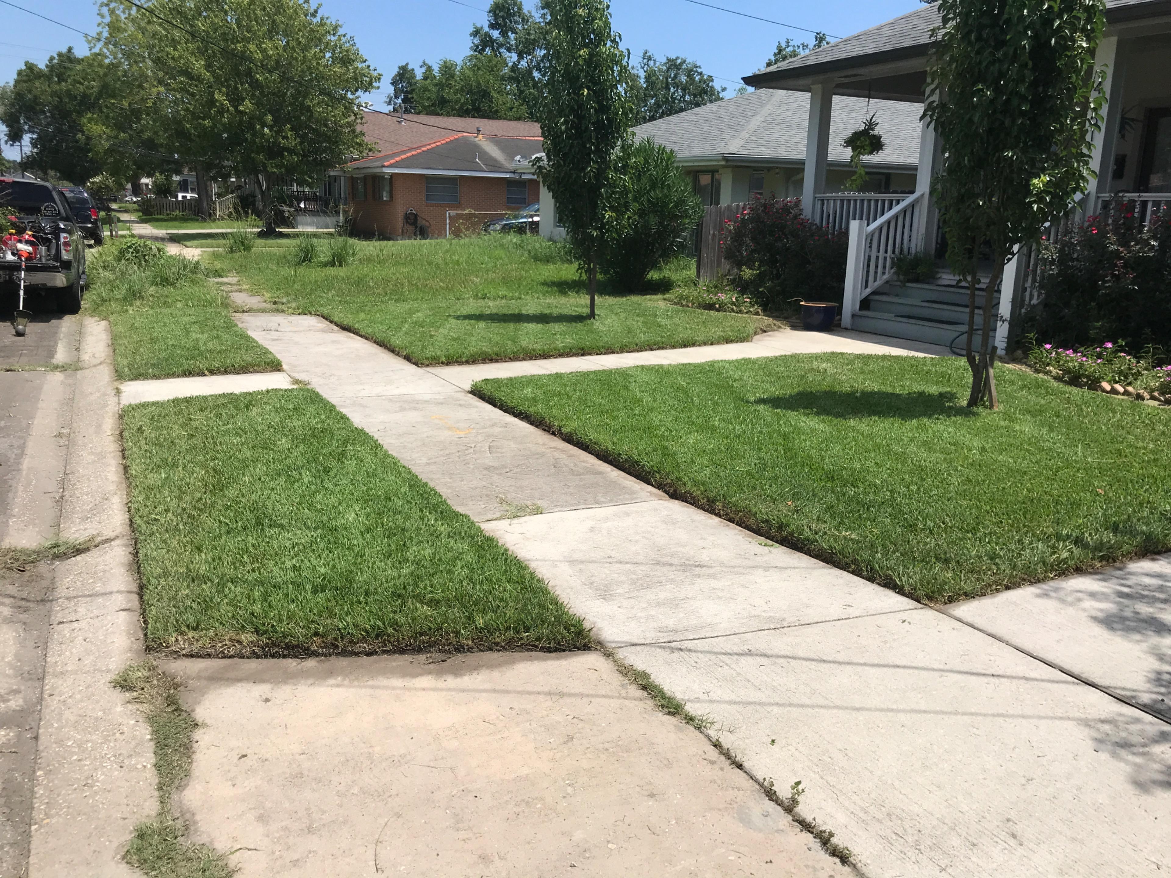 Image of lawn 7