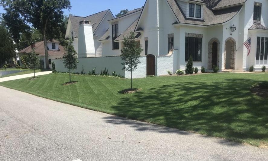 Image of lawn 8