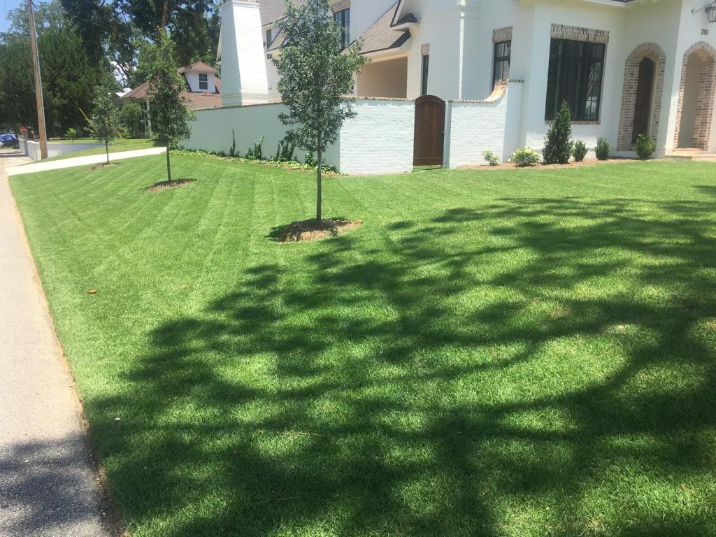 Image of lawn 9